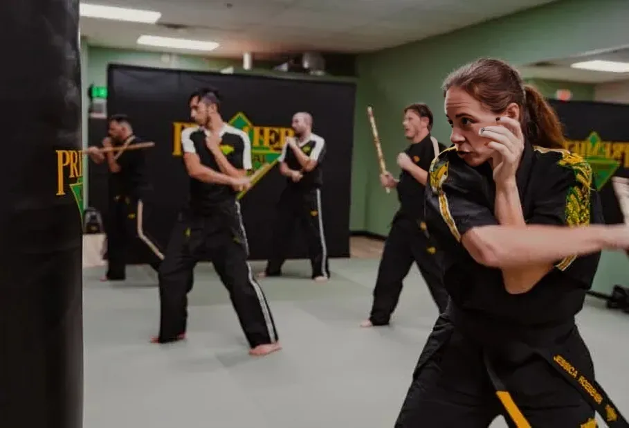 Adults Krav Maga and Kickboxing at Premier Martial Arts Fleming Island